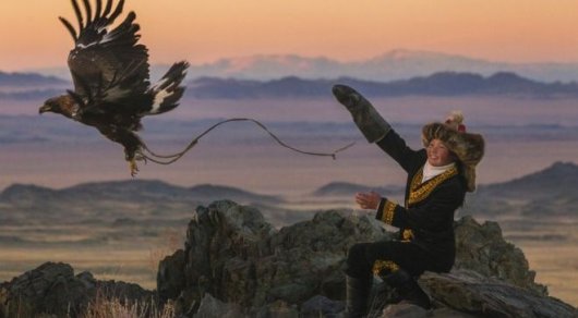 Búrkitshi Aısholpandy Garvard jáne Oksford ýnıversıtetteri oqýǵa shaqyrdy