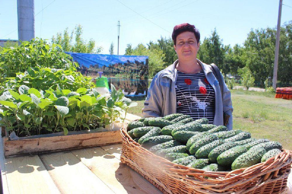 Qııardy brendke aınaldyrǵan aýyl