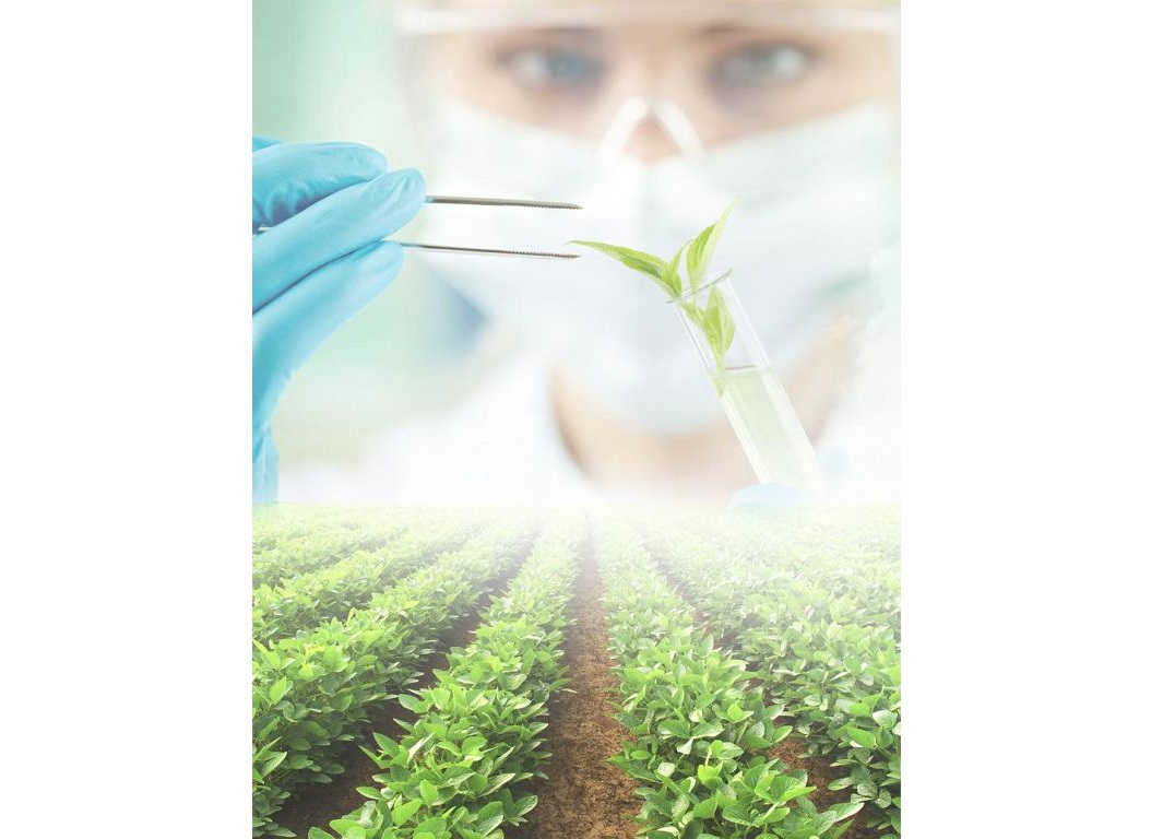 Agrarlyq ǵylymnyń jaıy alańdatady