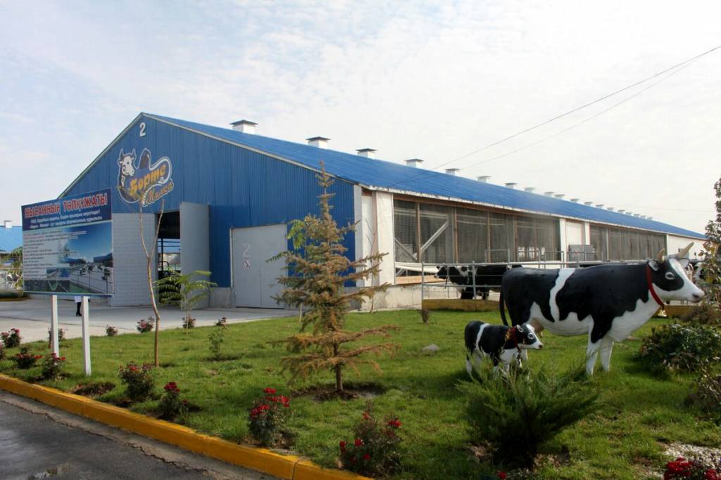 «Bórte-Mılkada» sıyrdy robottar saýady