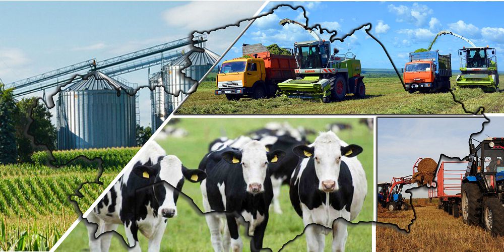 Agrarlyq salany damytý kartalary halyqty arzan azyq-túlikpen qamtamasyz ete ala ma?