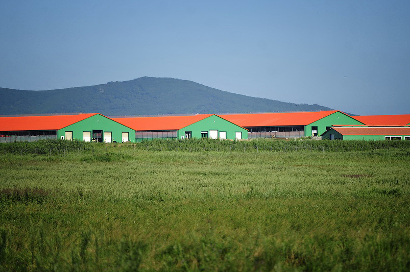 Agroónerkásiptik keshendi damytý baǵda­r­la­ma­sy boıynsha óńirlik jobalar qolǵa alynýda