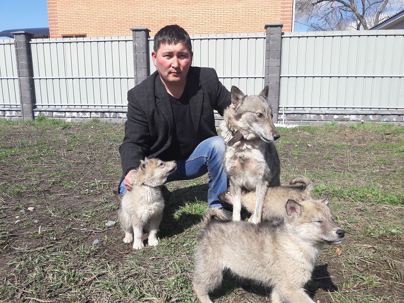 Arlan asyraǵan Aıdyn