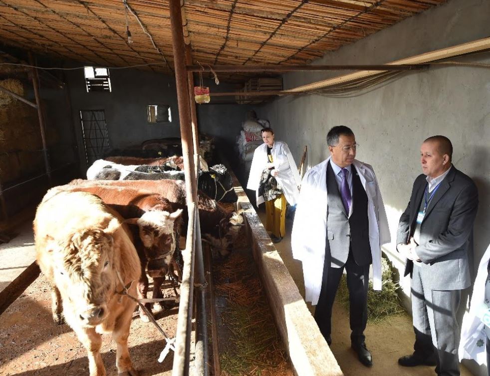 Saıram aýdanynda 52 mlrd. teńgeniń aýyl sharýashylyq ónimi óndirildi