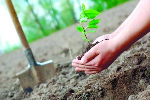 «Arý Almatyǵa – 1001 jasyl kóshet» aksııasy ótti