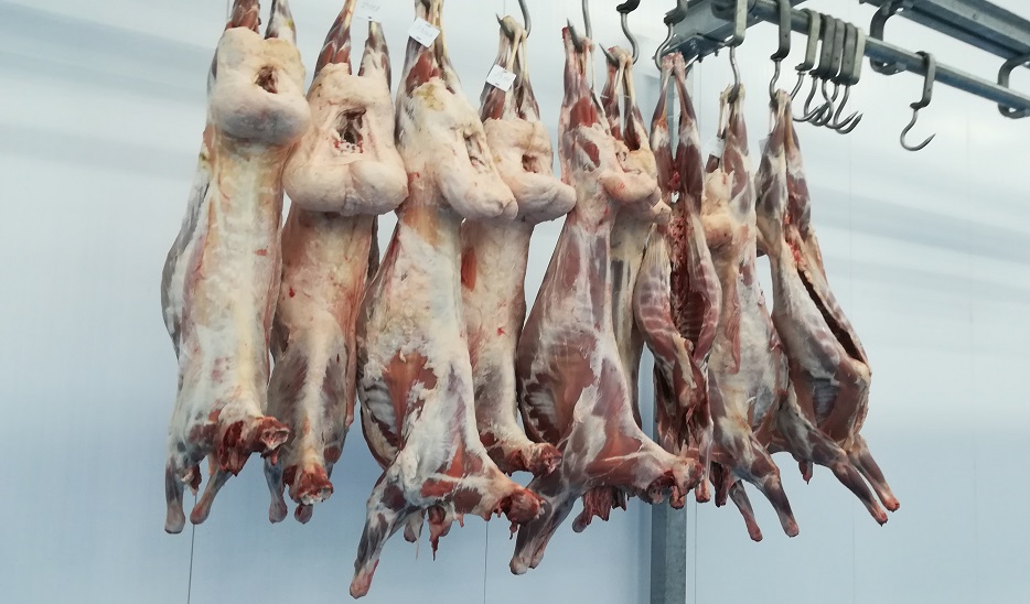 Iran Qazaqstannan alatyn qoı eti kólemin segiz esege ulǵaıtty