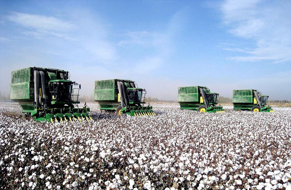 Maqtaaralda maqta ósirýde sheshilmeı jatqan máseleler bar