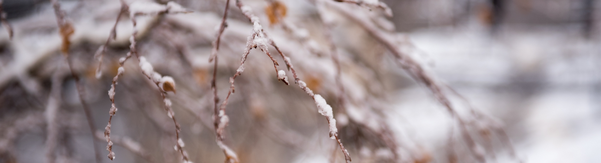 Sınoptıkter: Astanada mundaı qarsyz qys jeti jyl buryn bolǵan