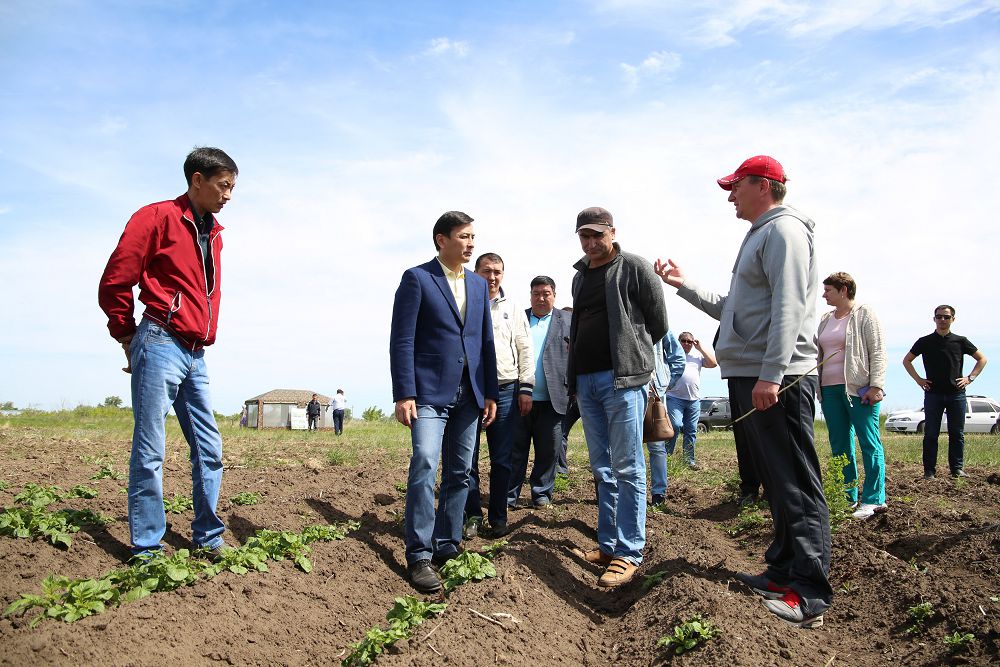 Bos jatqan jer telimi qaıtaryldy