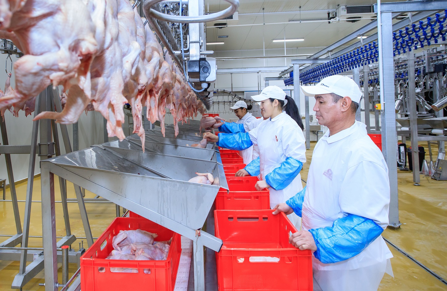 Batys Qazaqstan oblysynda jańa qus fabrıkasy iske qosyldy