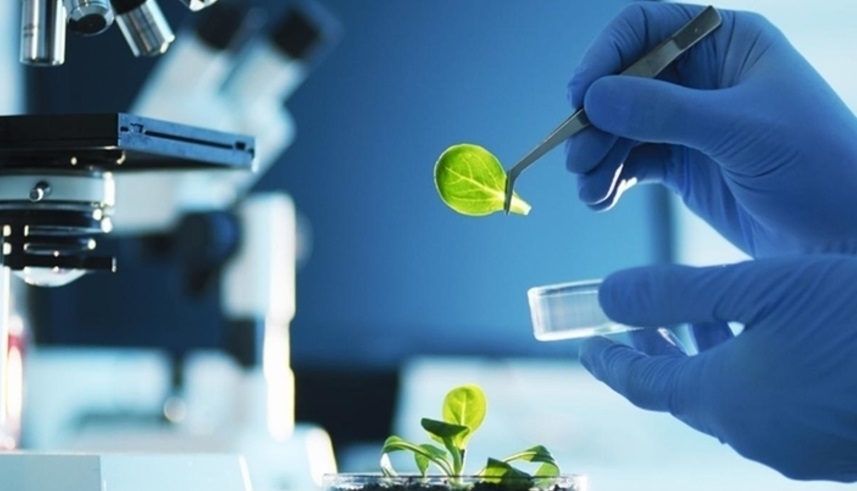 Úıreterimiz de bar, úırenerimiz de az emes