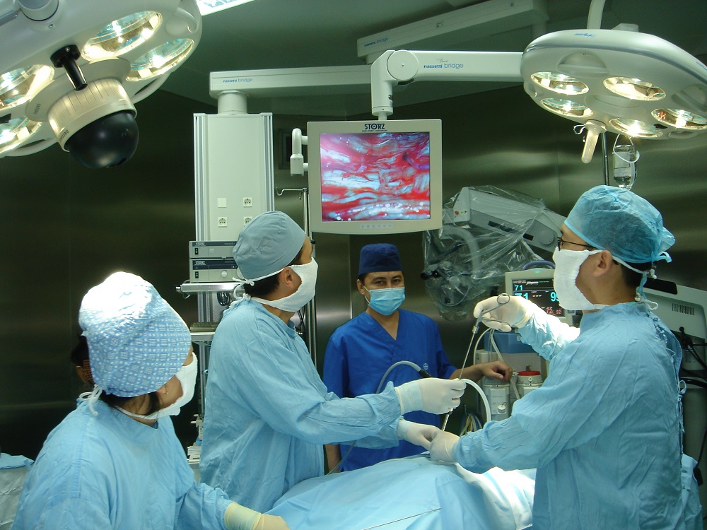 Jasandy júrek ımplantasııasy