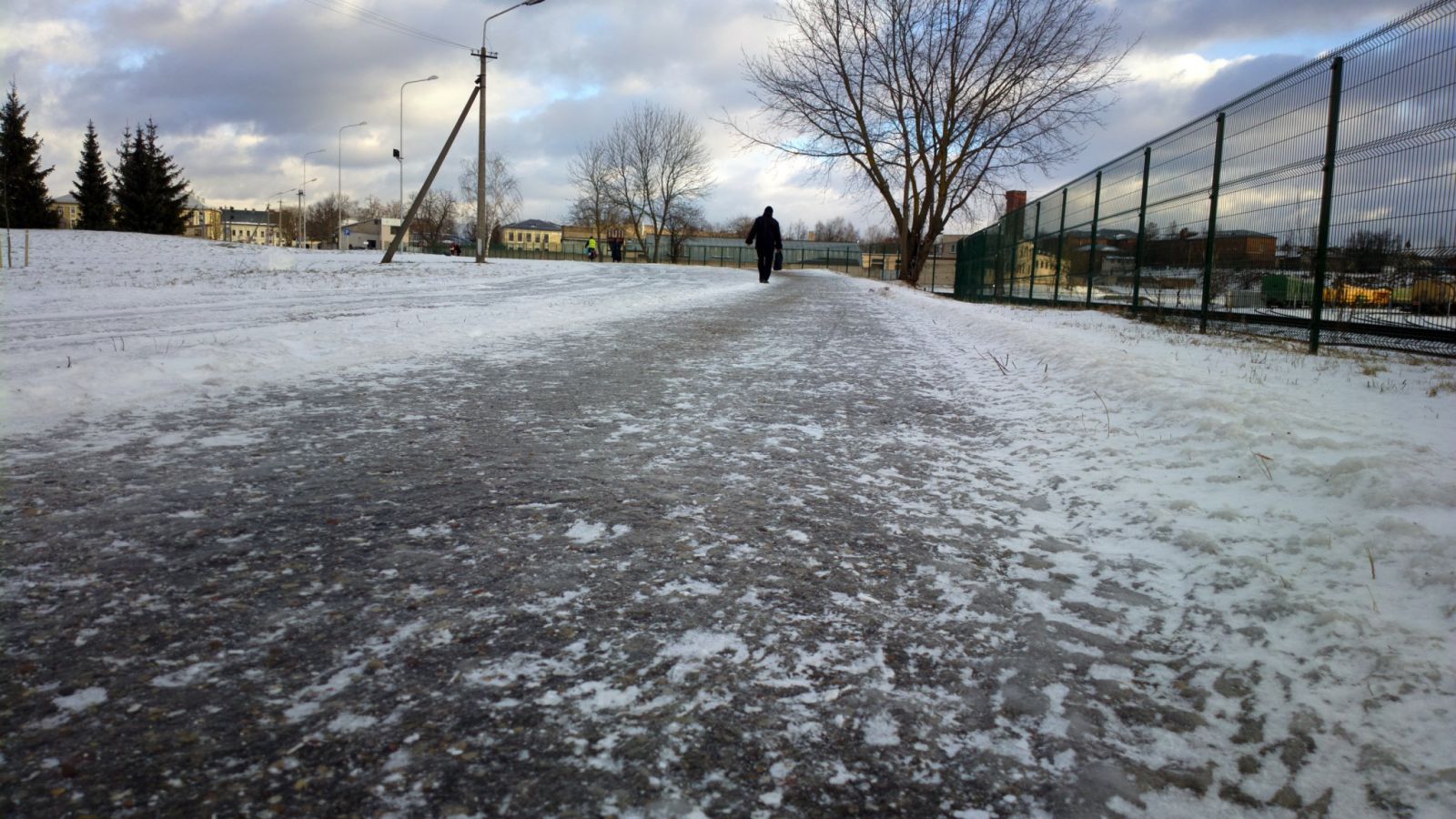 Kóktaıǵaq tirshilik