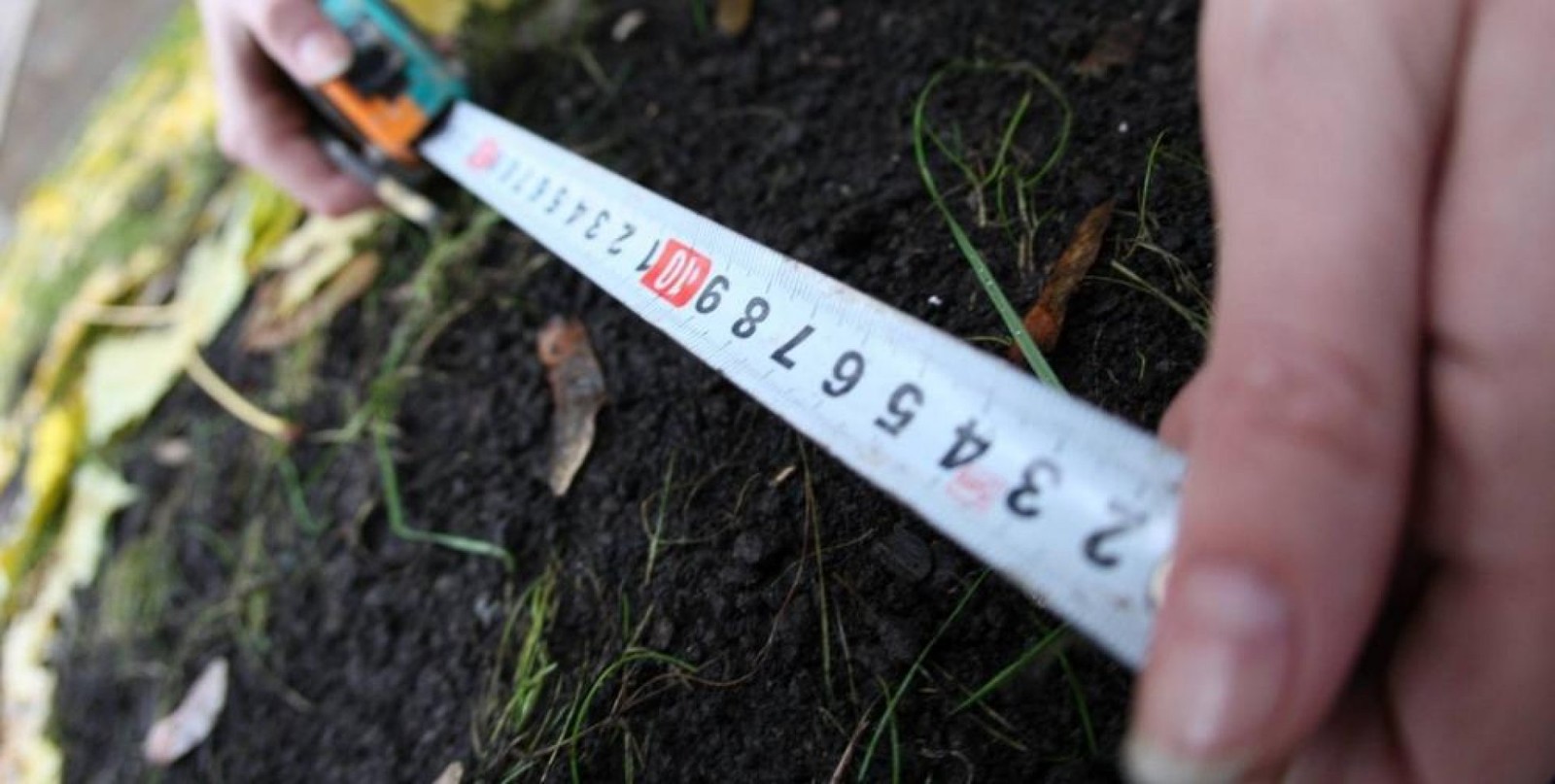 Shymkentte 588,8 gektar jer telimi memleketke qaıtaryldy