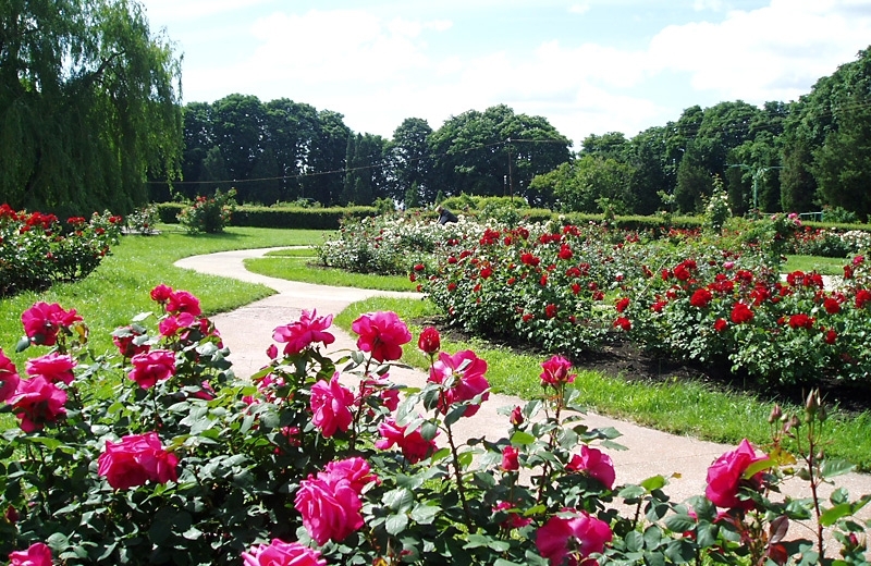 Elordadaǵy botanıkalyq baqtyń qurylysy keler jyldyń jazynda aıaqtalady