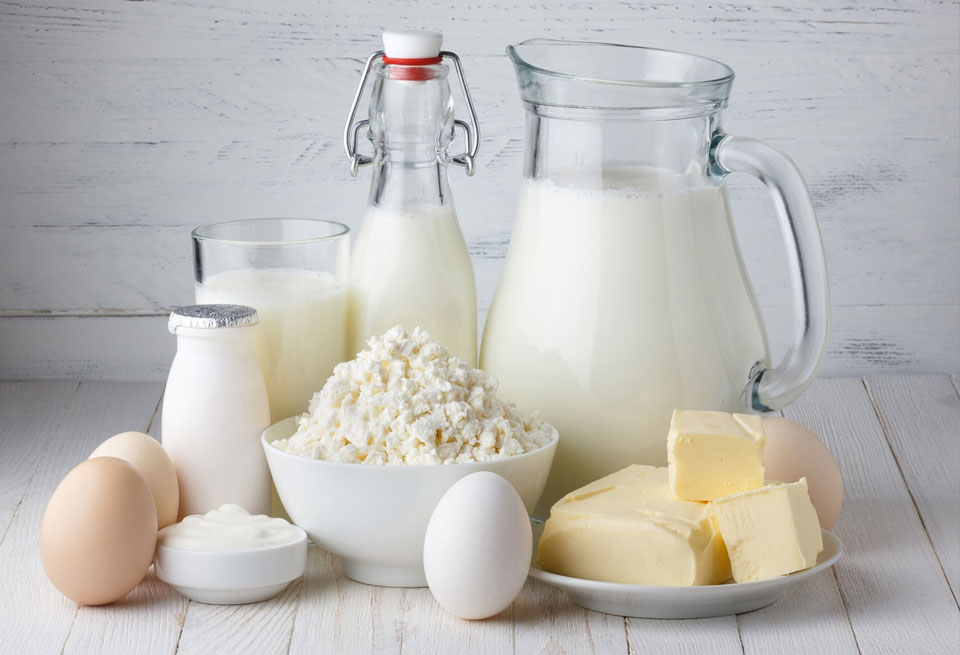 SQO-da jeke kásipker 80 adamdy jumyspen qamtamasyz etti