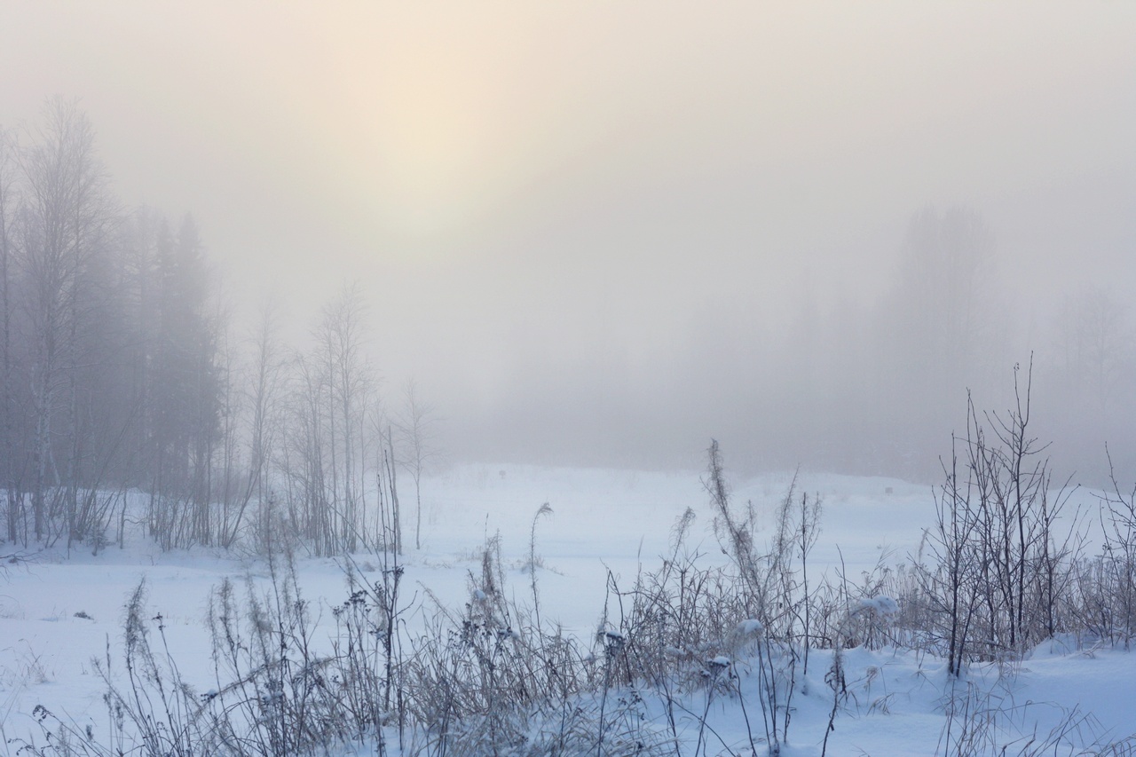 Elimizdiń keı jerlerinde jel kúsheıedi