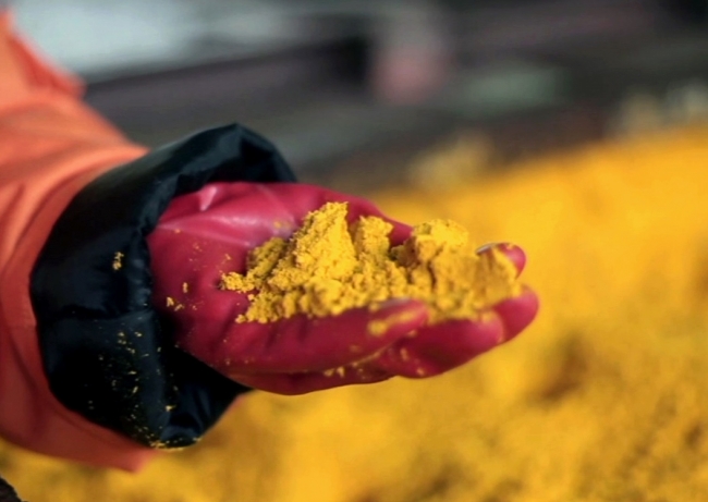 Aldaǵy úsh jylda ýran óndirisi 20 paıyzǵa qysqarmaq