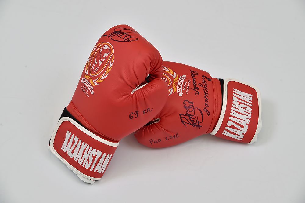 Eleýsinov qolǵabyn mýzeıge tapsyrdy