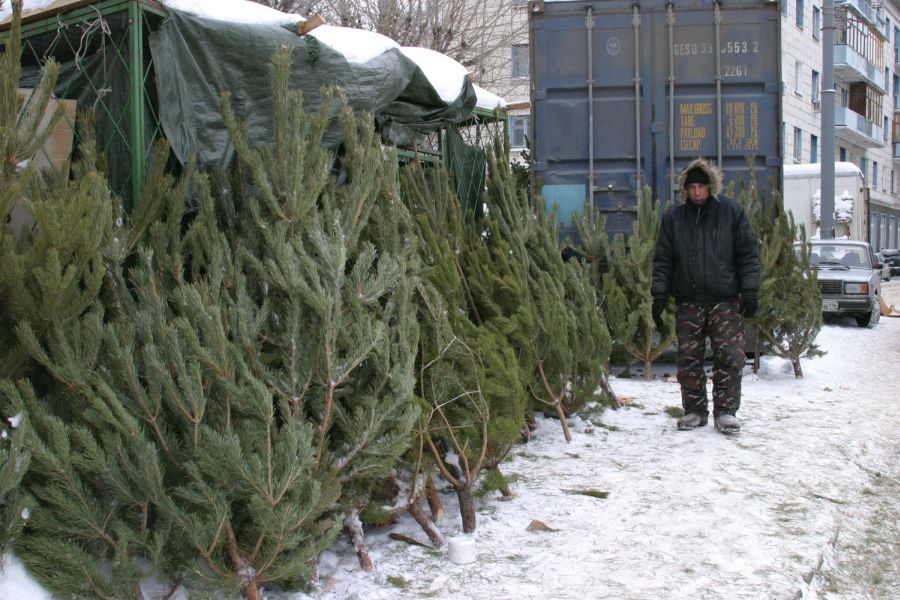 Qostanaıda «Shyrsha» jedel-profılaktıkalyq aksııasy júrip jatyr