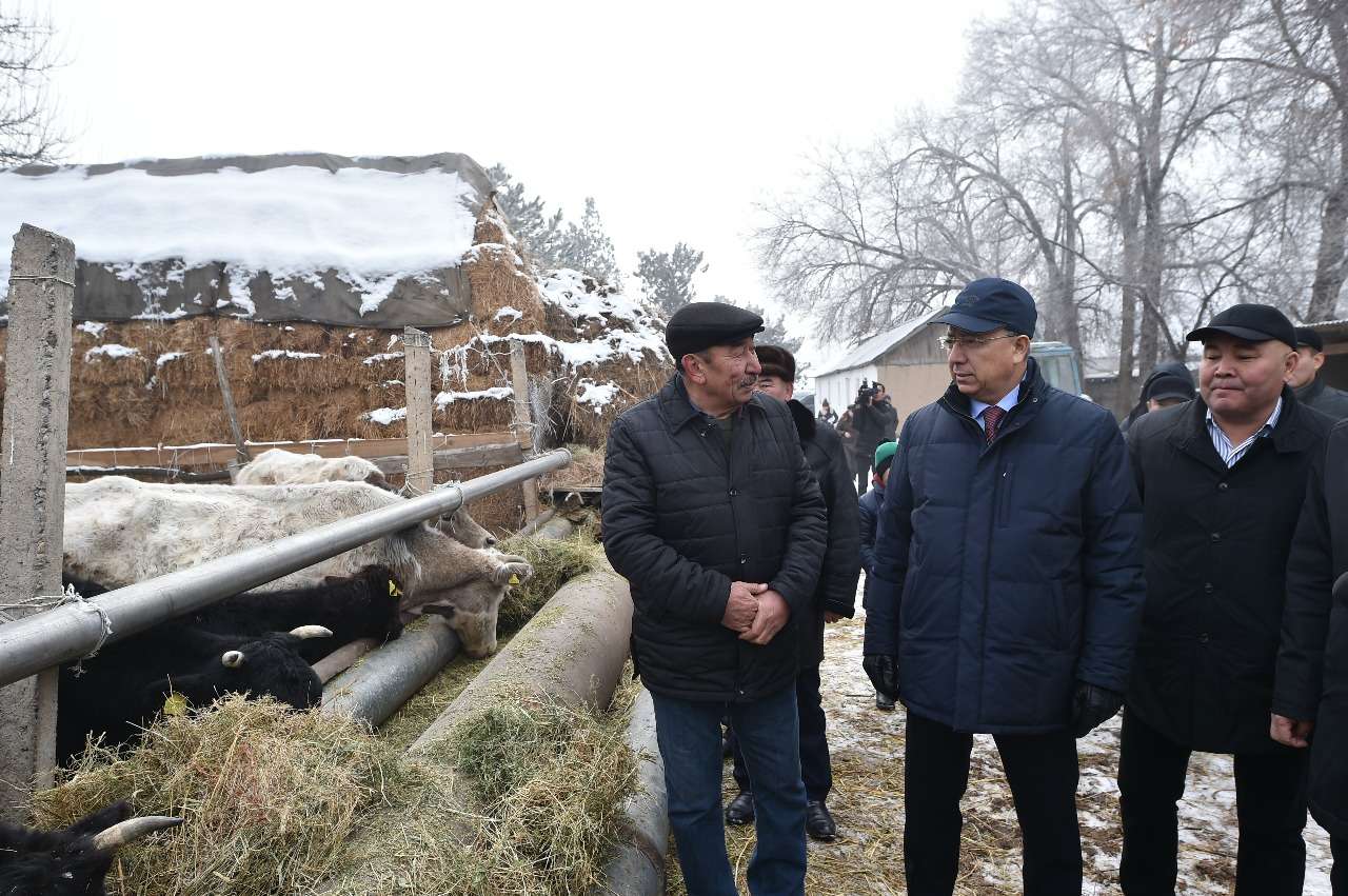 J.Túımebaev jumys saparymen Arys qalasy, Sanaly aýylyna bordy