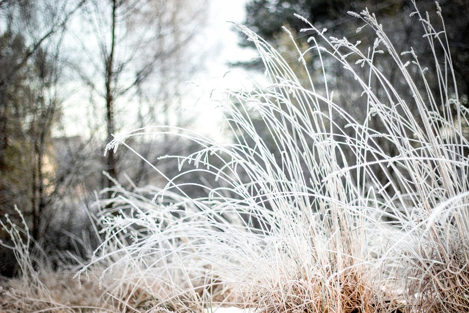 Elimizdiń basym bóliginde aýa raıy qubylmaly bolady