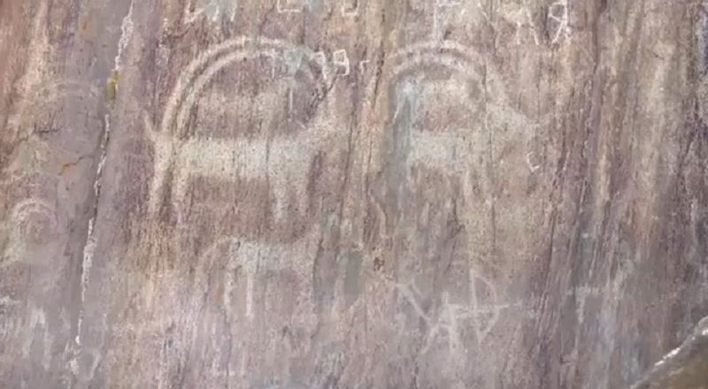 Syry ashylmaǵan Sýrettas