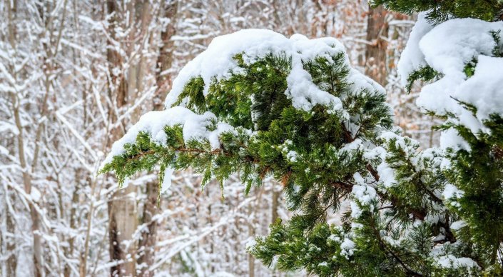 Sınoptıkter aıazdyń beti qashan qaıtatynyn aıtty