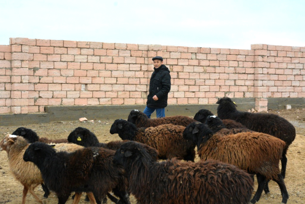 Munaıly aýdanynda 5 mekteptiń qurylysy bastalmaq