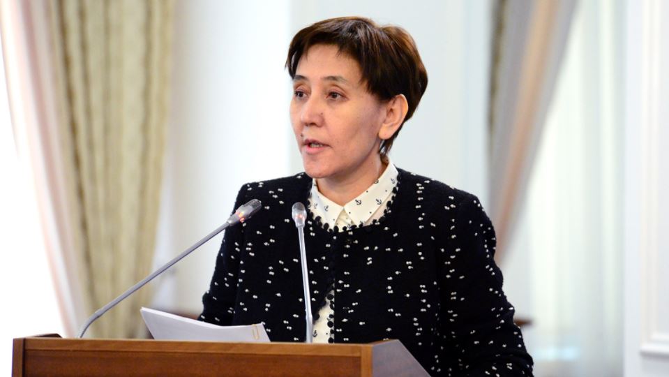 Elbasy Joldaýyn iske asyrý aıasynda ózin-ózi jumyspen qamtyǵandardyń mártebesi retteldi — T. Dúısenova