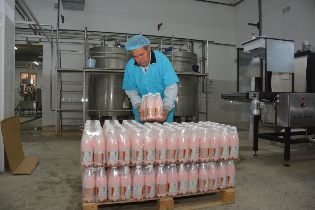 Túpqaraǵan aýdanynda sút zaýyty ashyldy