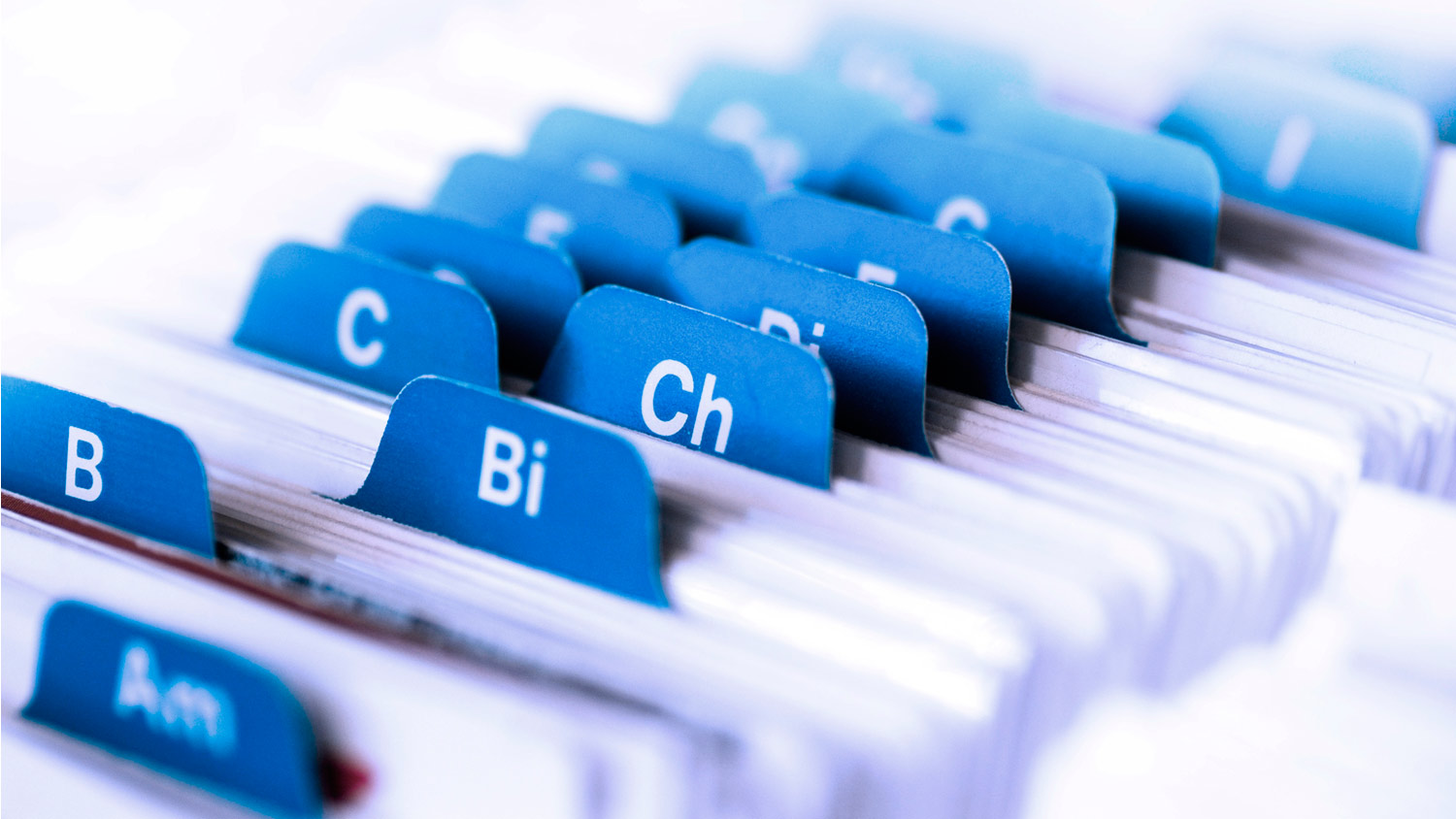 Termın máselesinde túıtkil kóp