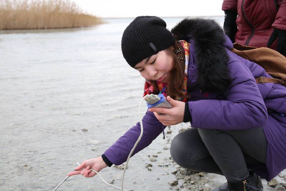 Oqýshylar qus sanaýǵa shyqty