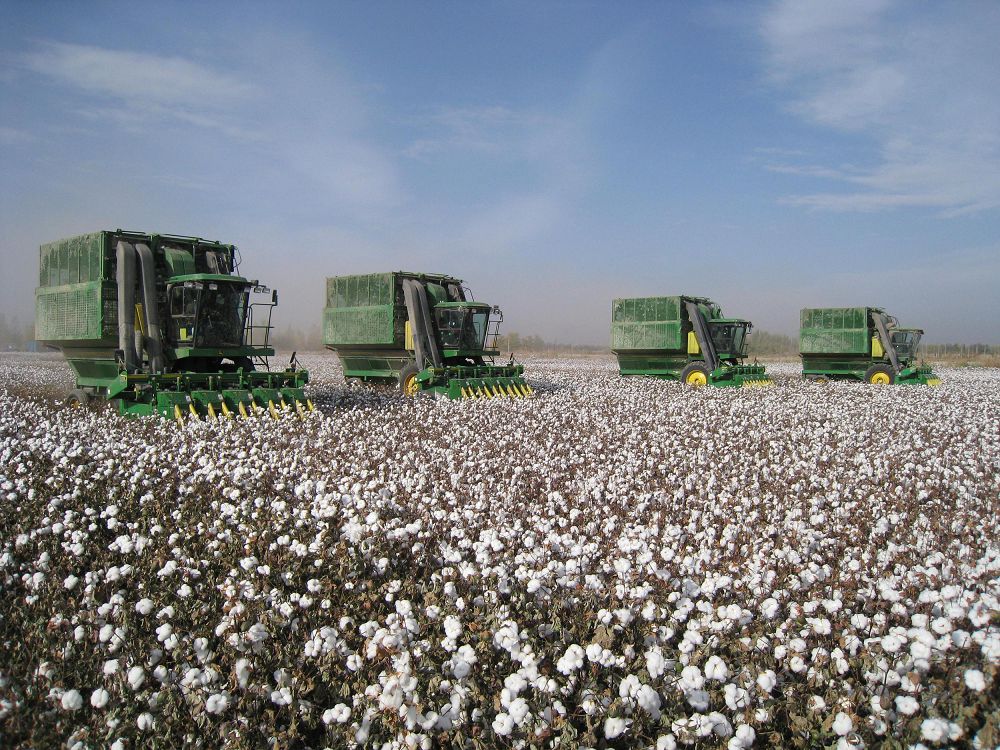 Ornyqty damýdyń basty qujaty 
