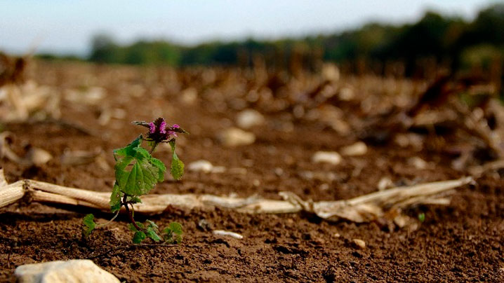 Nurǵalı Oraz. Qasıetti qara jer