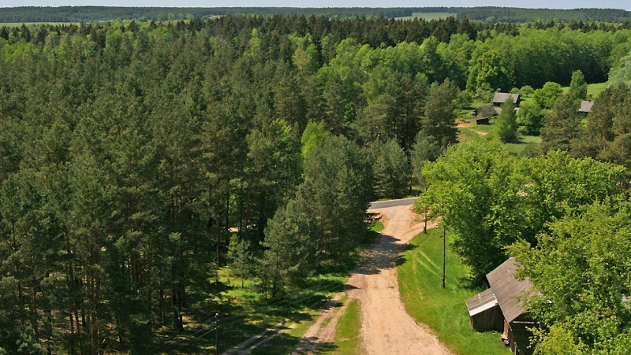 Orman qory oıdaǵydaı qorǵalsyn