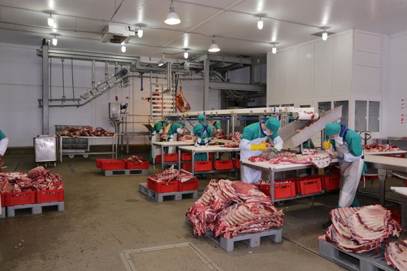 Et klasteriniń múmkindigi mol

