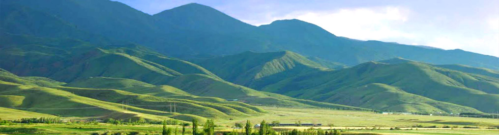 Áýlıeata óńiriniń áleýeti aıtarlyqtaı