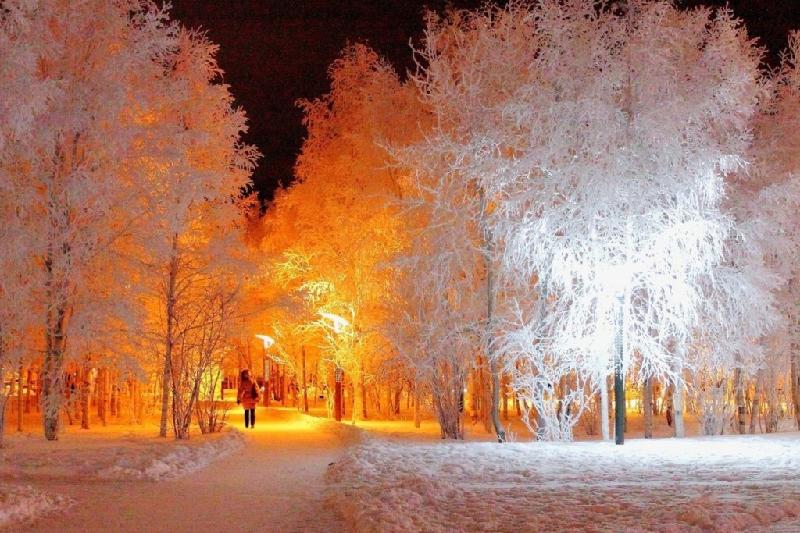 Demalys kúnderine arnalǵan aýa raıy boljamy