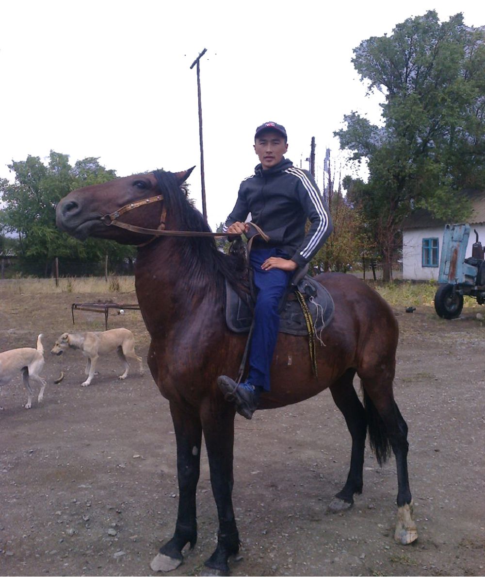 Bárekeldi: Asaýdy aýyzdyqtaıtyn azamat