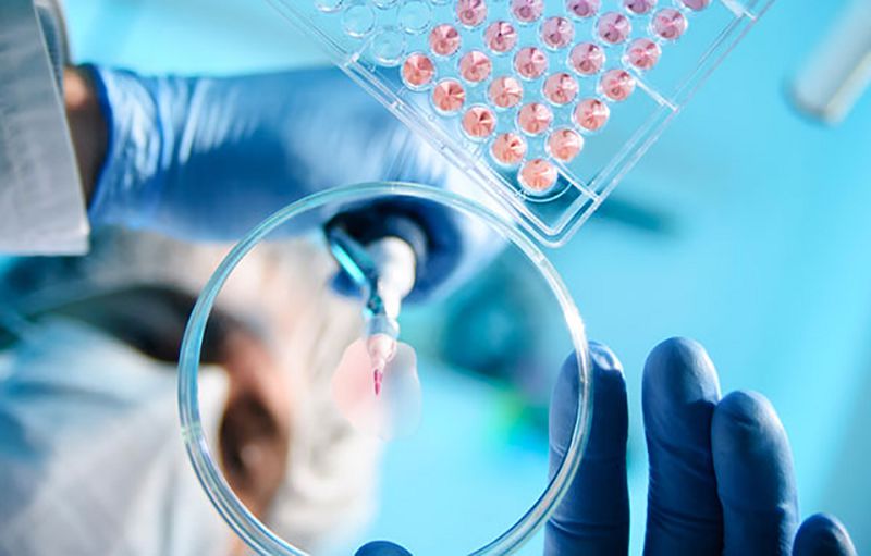 Sholpan aýylynyń turǵyndary: «Bizge derbes komıssııa kerek» 