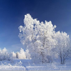 18 aqpanǵa arnalǵan aýa raıy boljamy