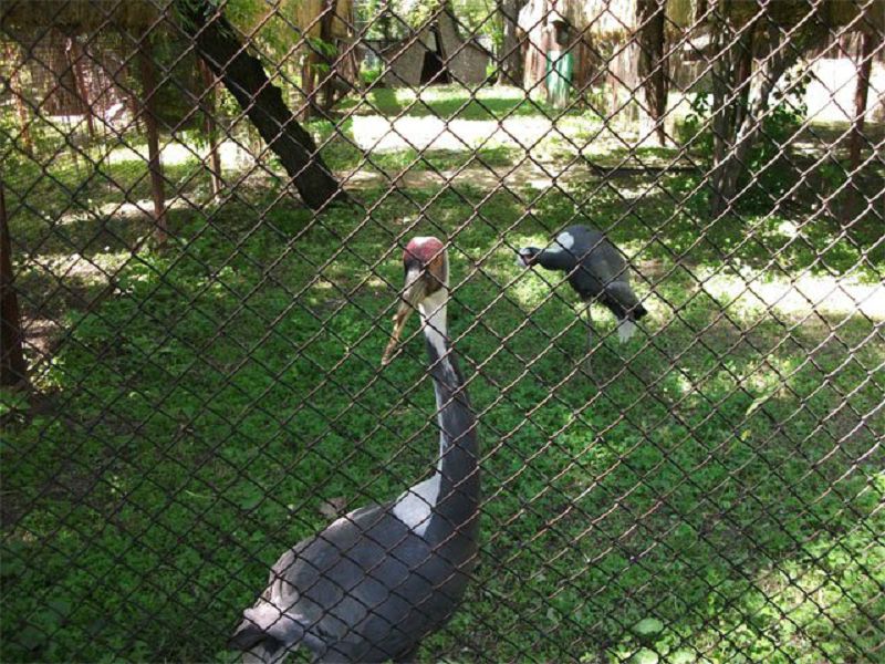 Qısynsyz qoıylǵan ataýlar