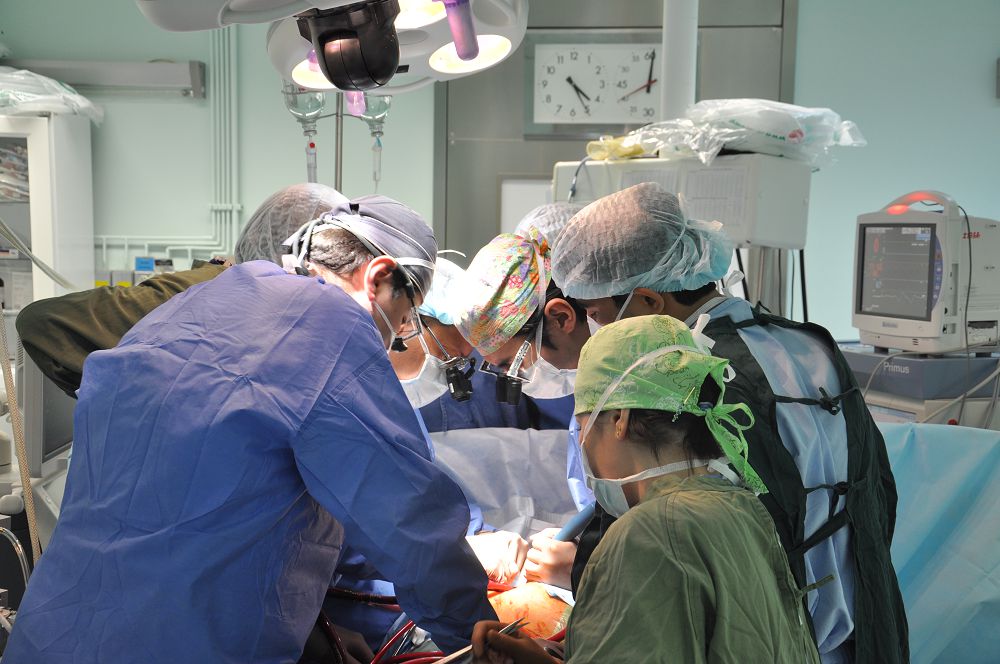 Insýltten qalaı saqtanýǵa bolady?