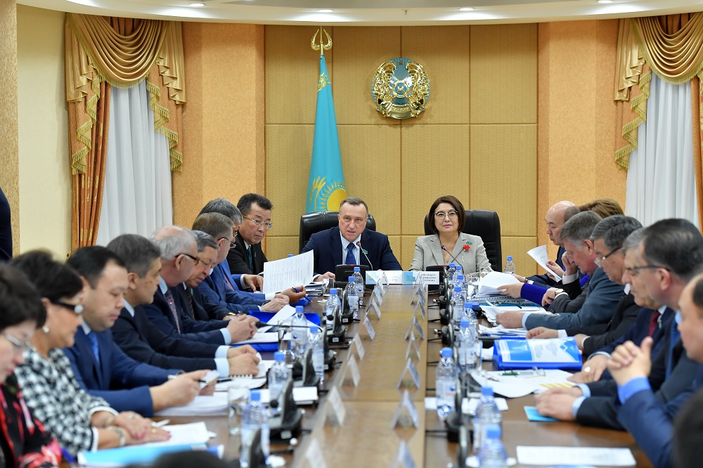 Senatta azamattyq qoǵamdy damytý zańnamasyn jetildirý máselesi qaraldy