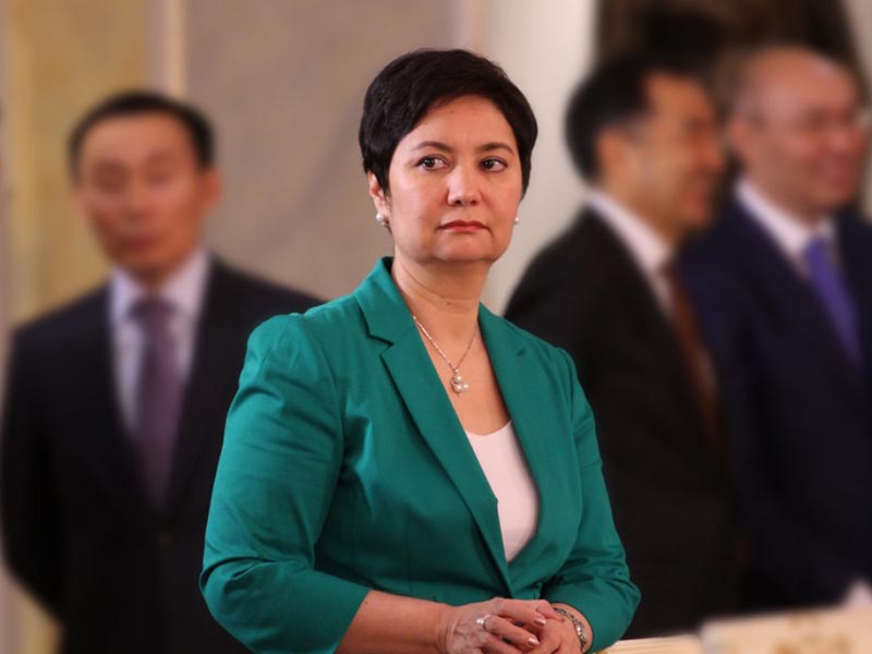 Memlekettik hatshy «Reforms in Kazakhstan» atty kitaptyń tanystyrylymyna qatysty
