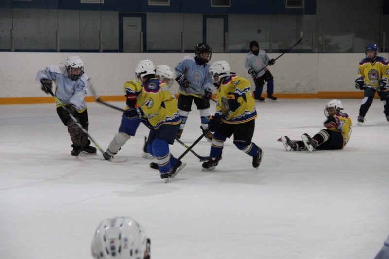 Astanada balalar úshin tegin sport seksııalary ashylady