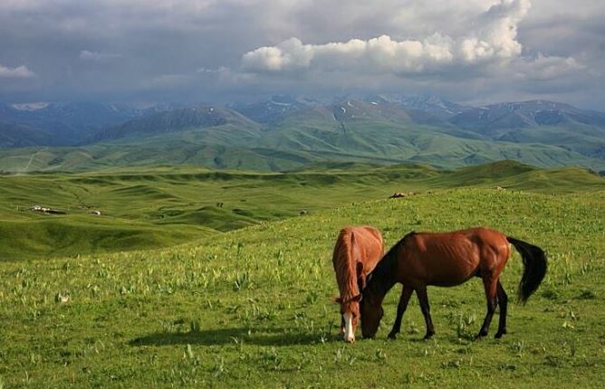 Jerdi jalǵa berý muqııat qadaǵalanady