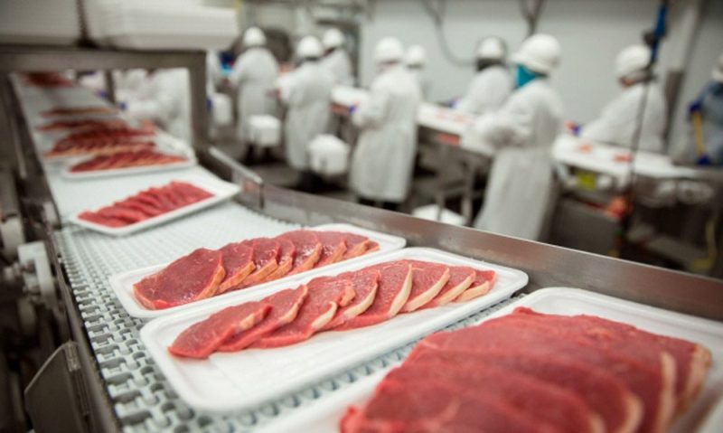 Shyǵys Qazaqstanda eki et óńdeý kombınaty salynady