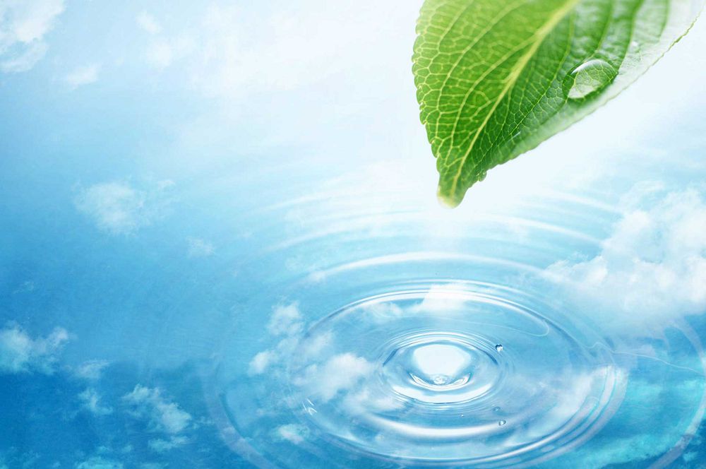 Sýdyń sıpaty týraly aqparatqa zárýmiz